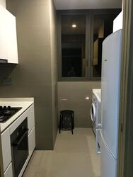 Skyline Residences (D4), Condominium #584969821
